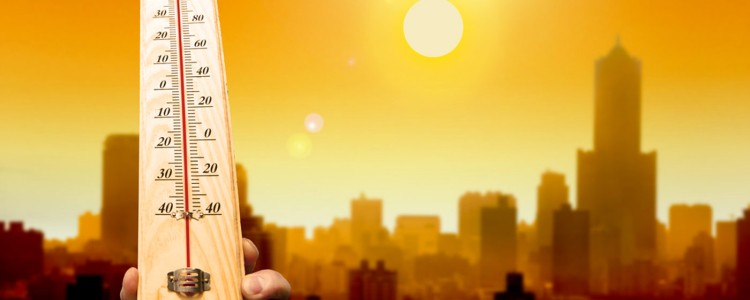 Ми встановили рекорд зміни клімату на 2016 рік, і це жахливо