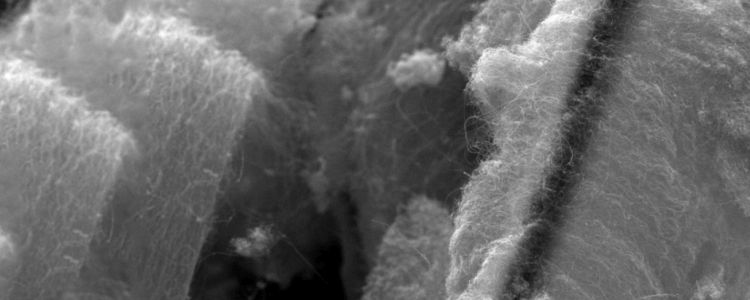 Неймовірний новий фільтр може видалити майже 100% токсичних матеріалів з води