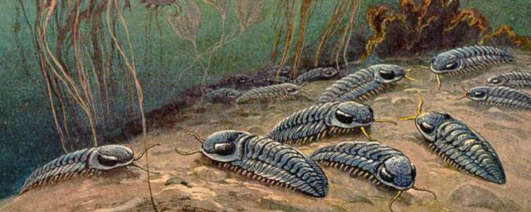 Інша форма складного життя, можливо, колись існувала на Землі