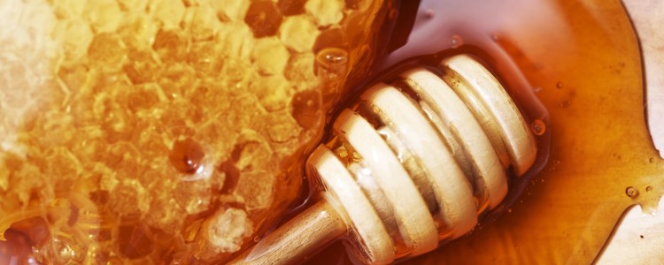 Австралійський мед виявився ефективним проти супербактерій