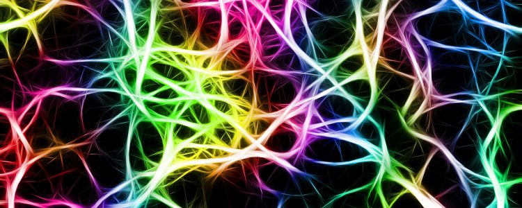 Елон Маск тільки що представив прорив у дослідженні штучного інтелекту