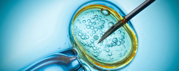 Нова терапія на основі стовбурових клітин може допомогти в лікуванні остеопорозу і відновленні кісток