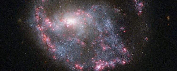 П'ять наукових таємниць, на вирішення яких нам потрібно надихнути нове покоління