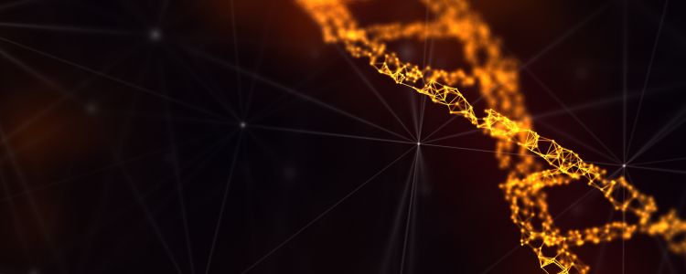 Вчені близькі до створення повністю синтетичного генома