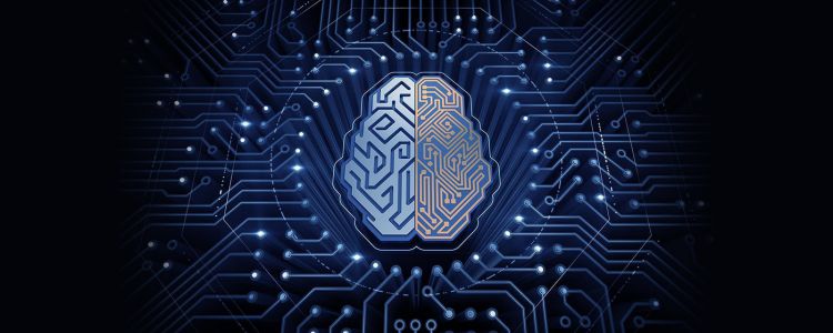 Гугл створив штучний інтелект, який може вчитися майже так само швидко, як людина