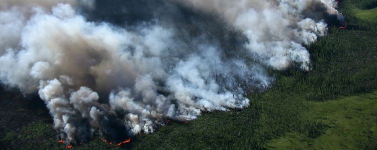 2017 обіцяє стати найспекотнішим роком в історії людства