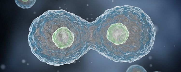 Безсмертні клітини цієї жінки врятували сотні тисяч життів