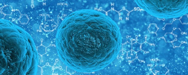 Нове відкриття наближає нас до вирощування органів на заміну