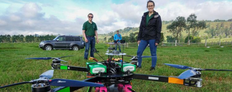 Новий дрон залучений в амбітній місії по висадці 100 000 дерев в день