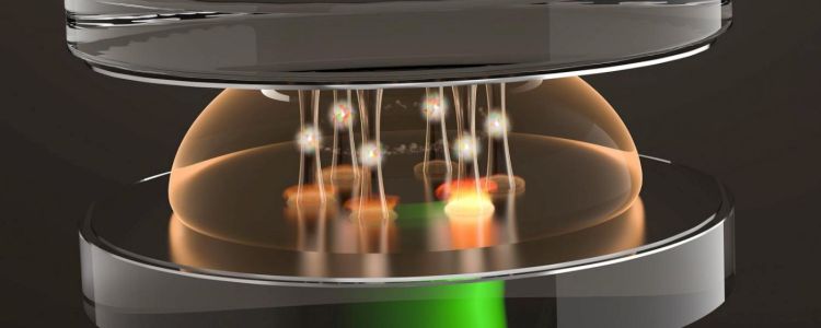 Фізики зробили екзотичні квантові стани зі світла