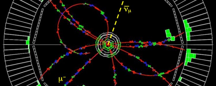 Фізики спостерігають можливий розрив в стандартній моделі фізики