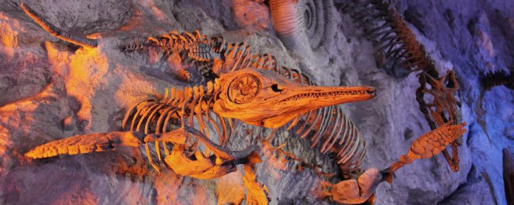 Вчені тепер можуть отримати давню ДНК людини з 240000-річного бруду