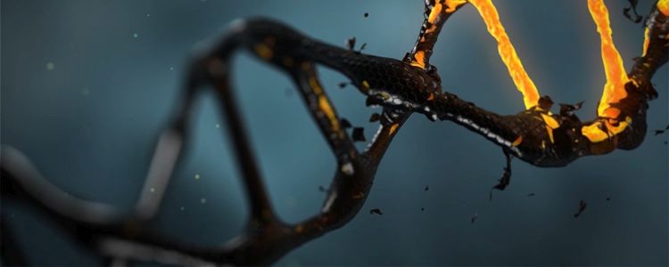 Стенфордські випускні іспити ставлять питання про етику генної інженерії