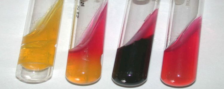 Дослідження показує, що «рідка біопсія» може привести до більш швидкого виявлення раку