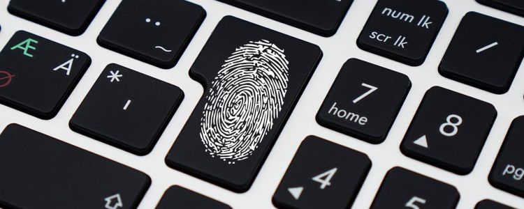 Синтетичні, мікроскопічні відбитки пальців перетворюють крихітні пластикові частинки в ключі безпеки