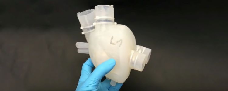 Це надруковане людське серце може робити все, що і справжнє