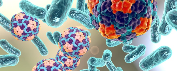 Лікарі за допомогою магнітів "витягують" бактерії з крові