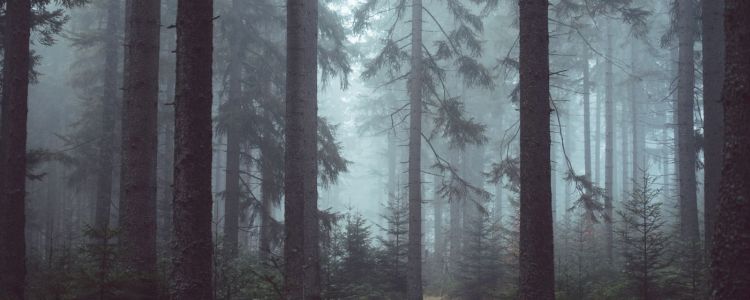 Ми можемо стримати зміни клімату. Ось з чого починати.