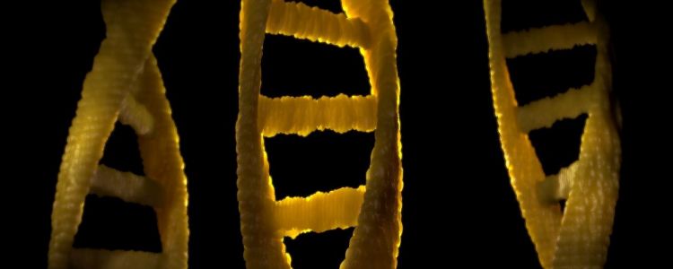 Тепер ми можемо будувати біомолекули з комп'ютерного коду - без людини