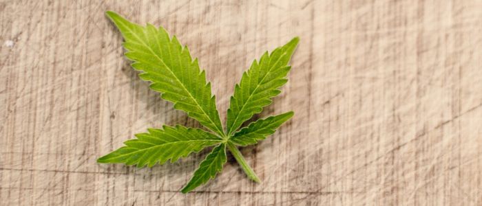 Наразі є докази того, що сполука марихуани допомагає людям з психозом