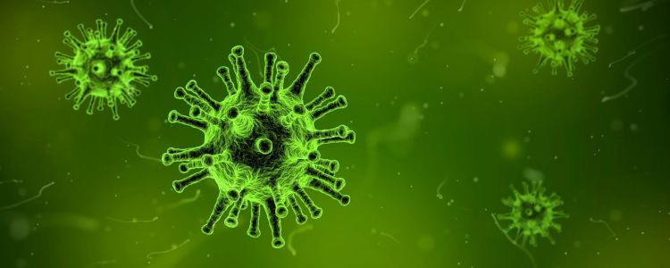 Виявлено, що звичайна молекула зупиняє ракові клітини від вироблення енергії