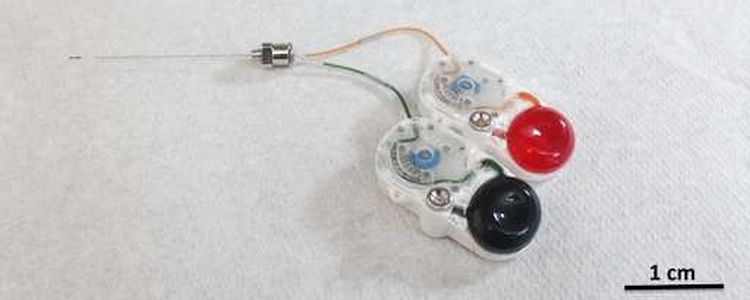 Голка розміром з людську волосину робить можливими ін'єкції головного мозку