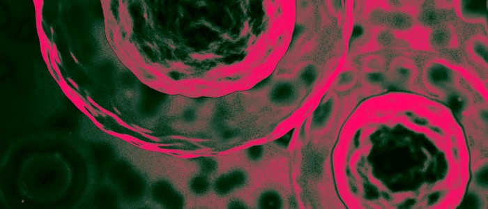 Новий проєкт допомагає картувати кожну клітину в організмі людини