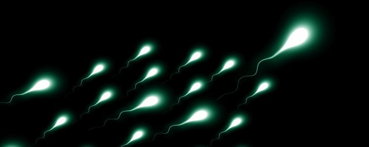 Можливий винуватець кризи безпліддя: пластик