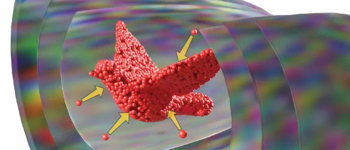 Вчені використали «акустичні голограми» для формування частинок у складні тривимірні форми