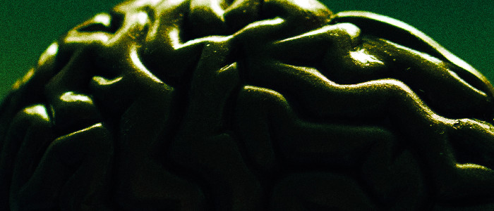 Після смерті мозку деякі клітини в ньому стають більш активними