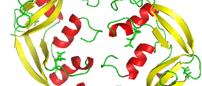 Штучний інтелект створив білки, які раніше ніколи не бачили