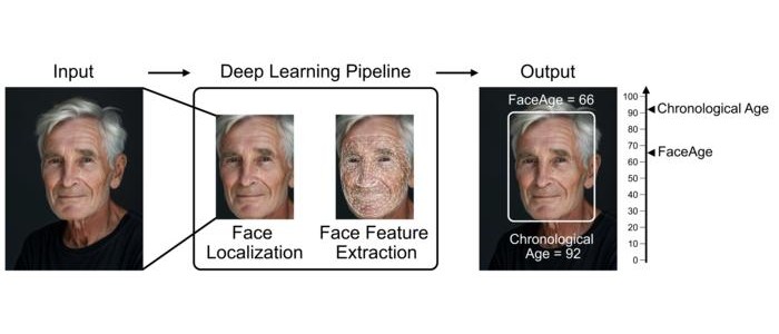 ШІ прогнозує результати лікування раку за фотографіями обличчя