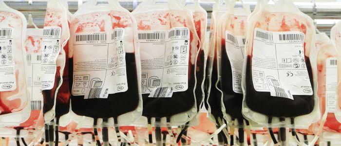 Фермент, знайдений в наших кишках, може збільшити наше кровопостачання