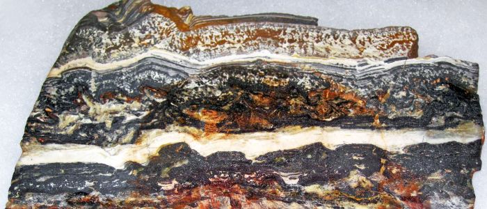 Виявлене стародавнє мікробне життя в породах віком 3,51 мільярда років