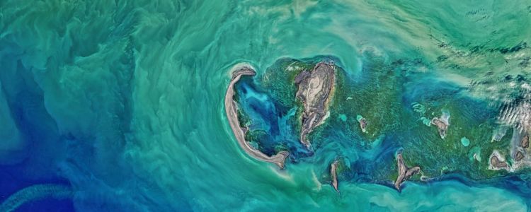 Зміна клімату забирає у нас наші пляжі