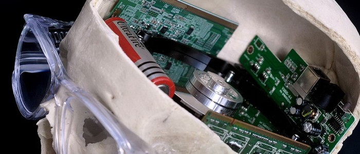 Антивікова ін'єкція покращує пам'ять у мавп