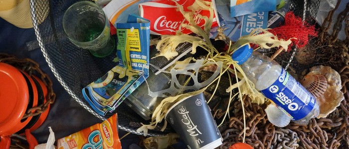 Кількість пластику перевищує кількість риби в океані