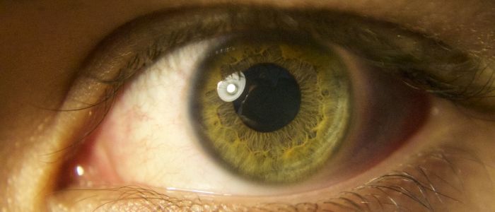 Штучні сітківки можуть допомогти мільйонам побачити знову