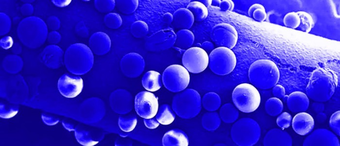 Біорозкладний «міст» може відновити пошкоджені нерви