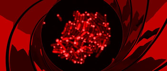 Біологи розробили вірус, який вбиває бактерії по команді