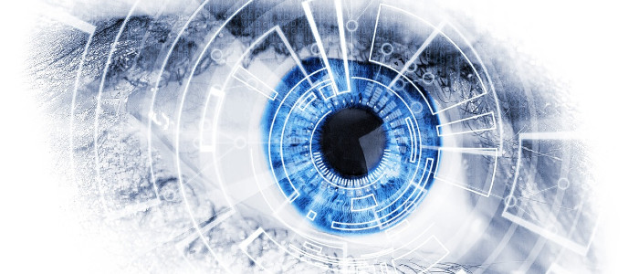 Біонічні очі дають вівцям покращений зір, люди на черзі