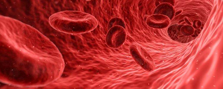 Виявлено, що антикоагулянти «знижують ризик розвитку деменції на 48 відсотків»