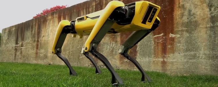 Бостон Дайнемікс тільки що оприлюднила реалістичного безголового робота