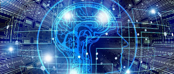 Мозковий контур зробив штучний інтелект набагато швидшим