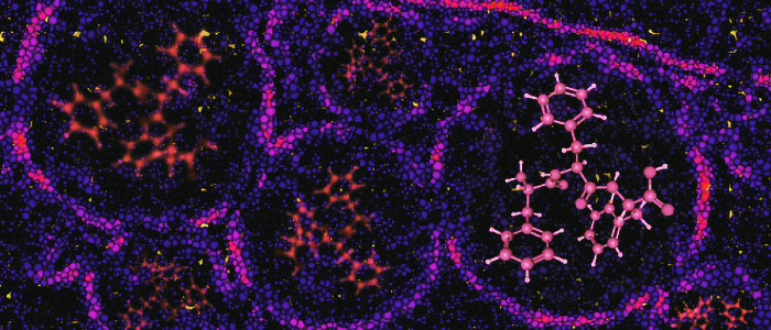 Нова технологія змушує ракові пухлини світитися