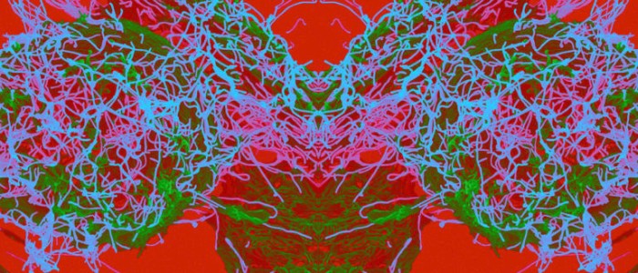 Таємничий вірус з Китаю поширюється Японією та Таїландом