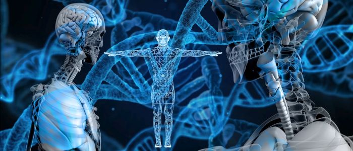 Китайські вчені заявляють, що вперше отримали генномодифікованих немовлят