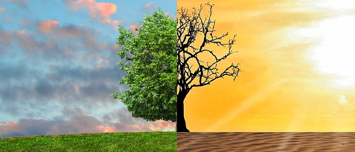 Вчена ООН попереджає, що руйнування клімату входить на «незвідану територію»