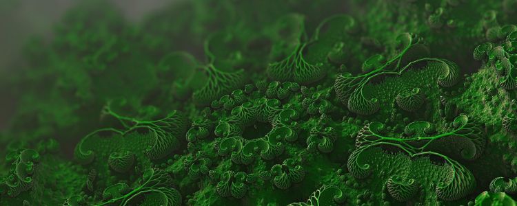 Вчені виявили організми, відмінні від будь-яких форм життя, відомих науці