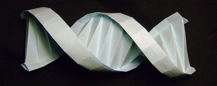 ДНК, яка складається як оріґамі, може допомогти медичним наноботам
